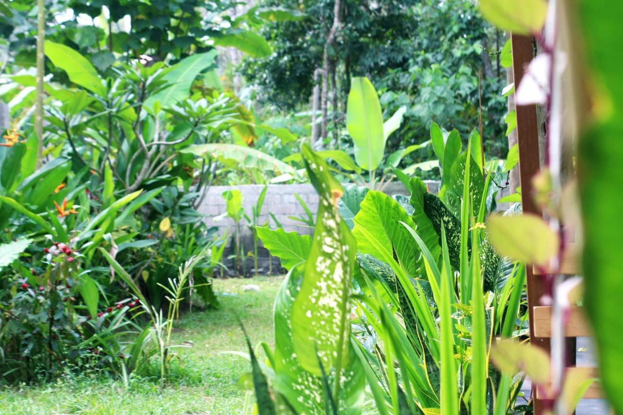 Jungle House - Surf & Stay Pulukan Εξωτερικό φωτογραφία