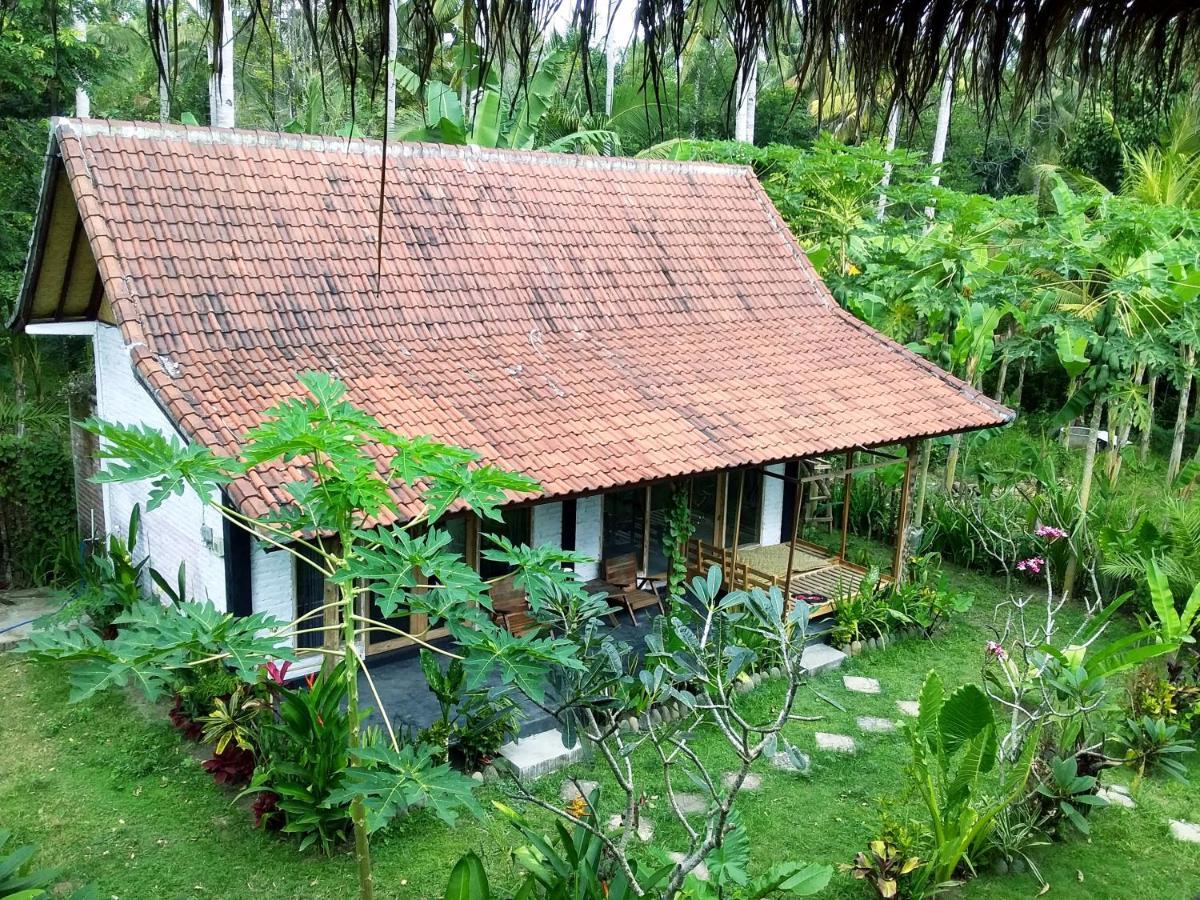 Jungle House - Surf & Stay Pulukan Εξωτερικό φωτογραφία