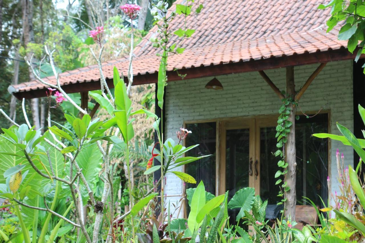 Jungle House - Surf & Stay Pulukan Εξωτερικό φωτογραφία