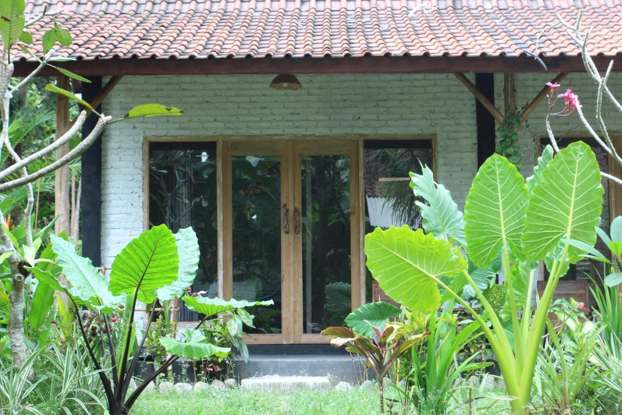 Jungle House - Surf & Stay Pulukan Εξωτερικό φωτογραφία