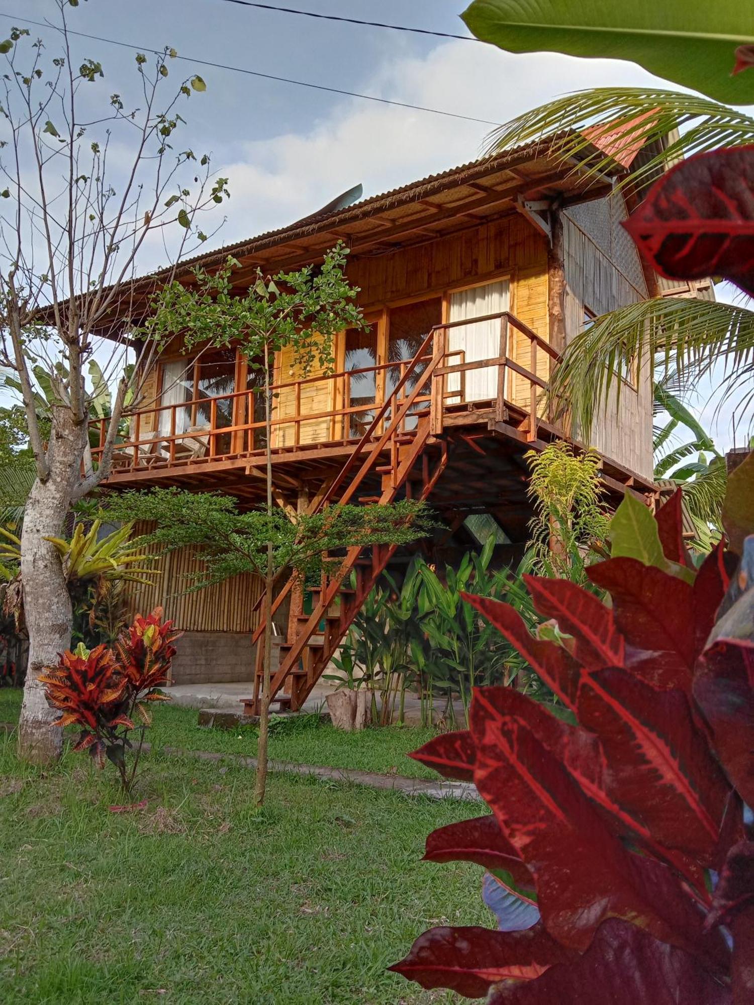 Jungle House - Surf & Stay Pulukan Εξωτερικό φωτογραφία